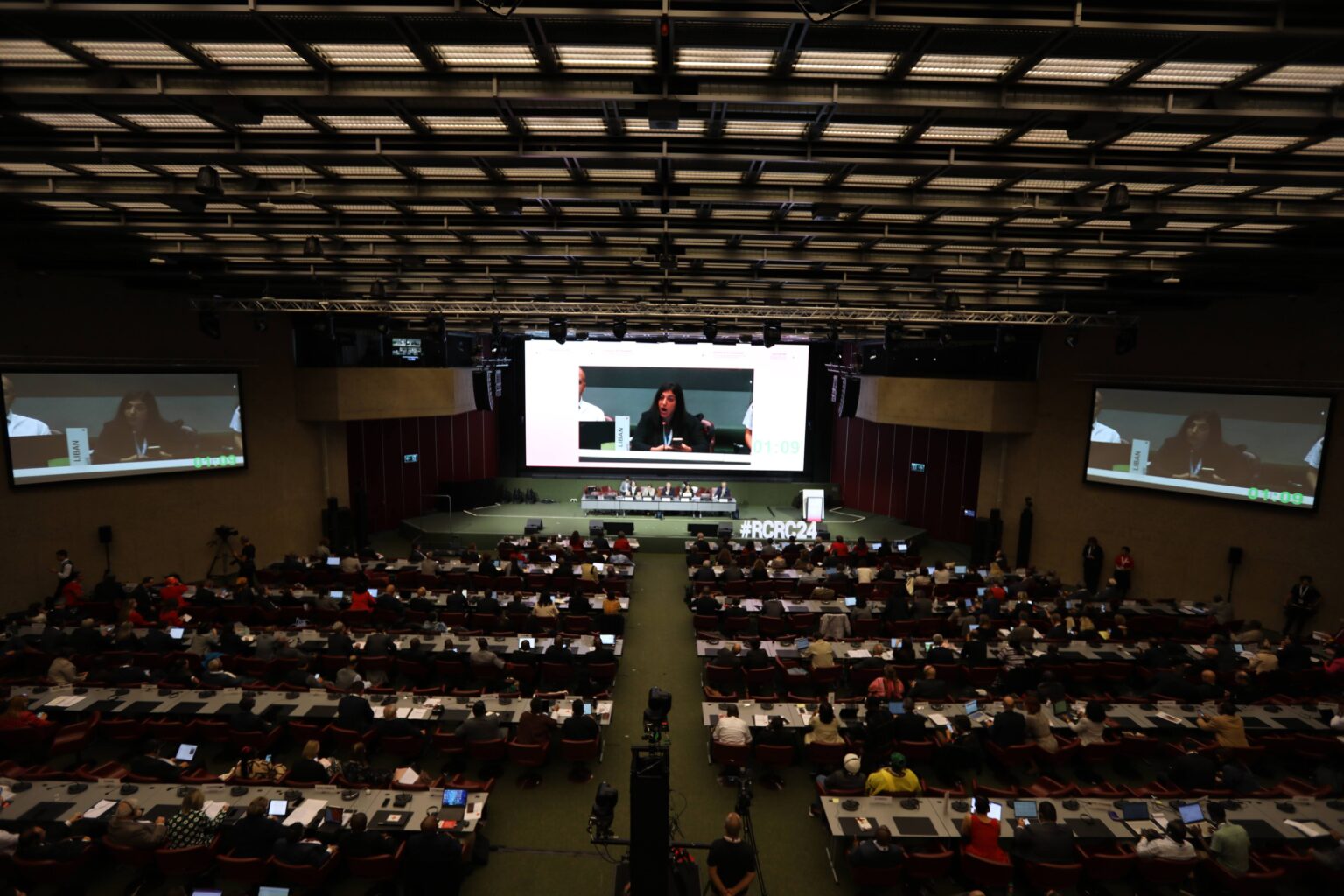 Council of Delegates of the International Red Cross and Red Crescent Movement