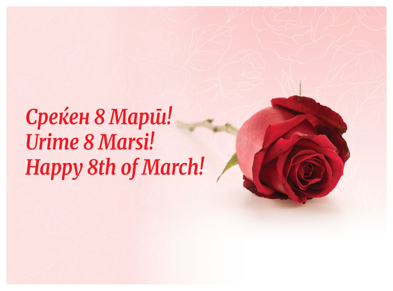 Среќен 8 Март!